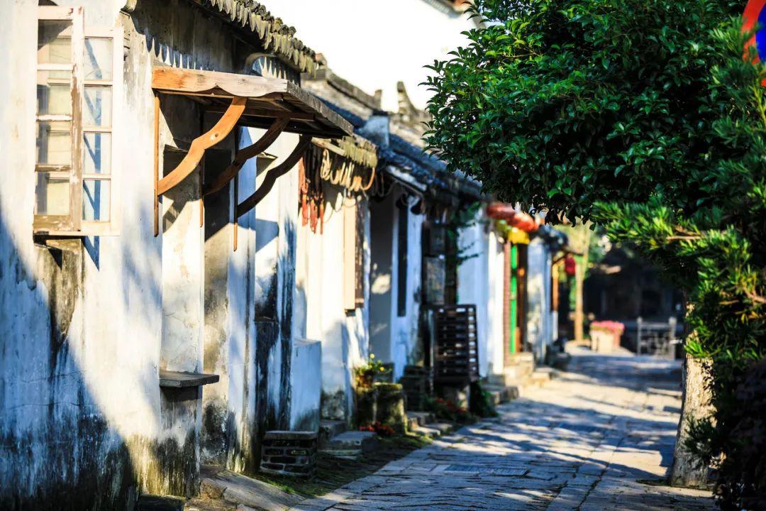 “医者仁心 惠泽天下”浙大为白衣天使颁奖